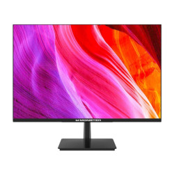 Monitor Monster MTK9700 24" FHD 100Hz HDMI VGA